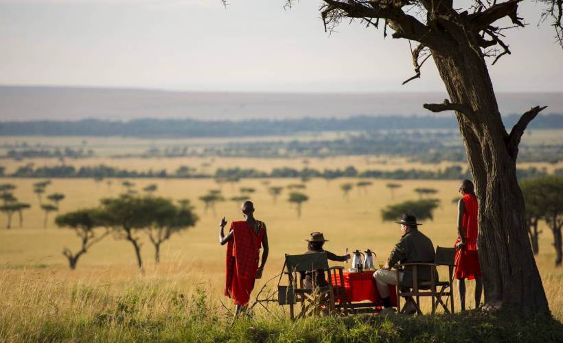 Masai Mara Safari Packages From USA: Top Choice For Immersive Wildlife Experiences